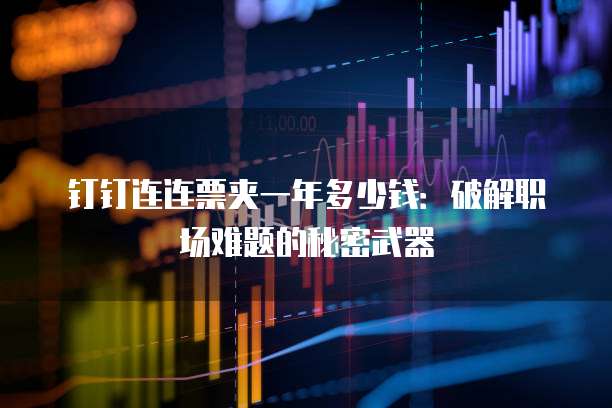 钉钉连连票夹一年多少钱:破解职场难题的秘密武器