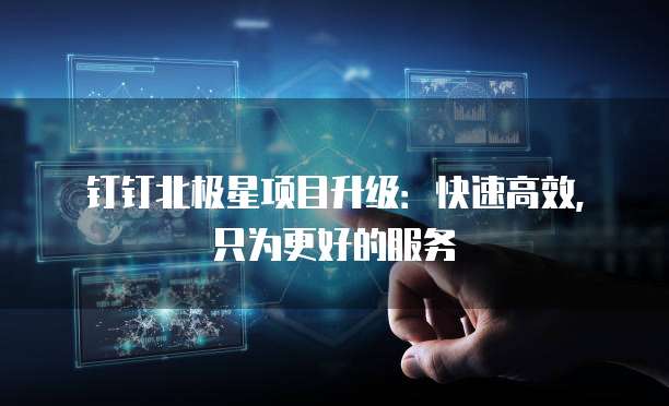 钉钉北极星项目升级:快速高效,只为更好的服务