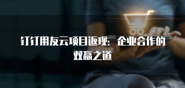 钉钉用友云项目返现:企业合作的双赢之道