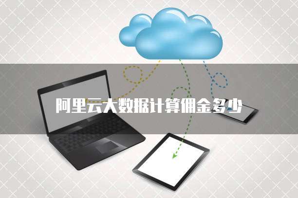 阿里云大数据计算佣金多少