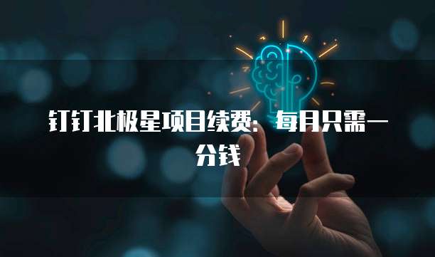 钉钉北极星项目续费:每月只需一分钱