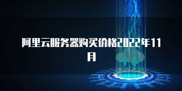 阿里云服务器购买价格2022年11月