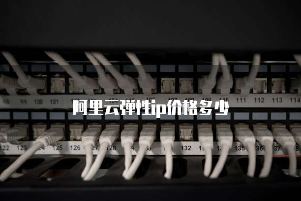 阿里云弹性ip价格多少