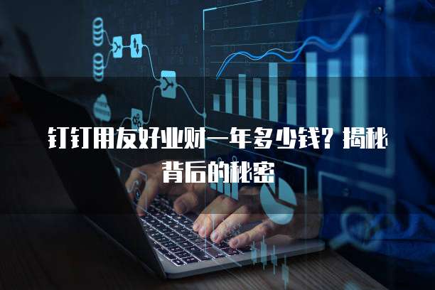 钉钉用友好业财一年多少钱？揭秘背后的秘密