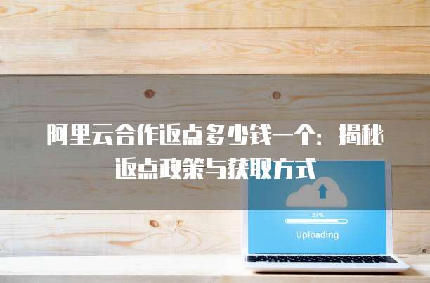 阿里云合作返点多少钱一个:揭秘返点政策与获取方式