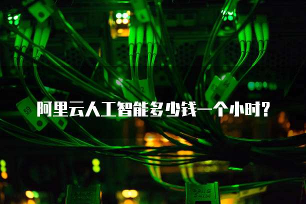 阿里云人工智能多少钱一个小时？