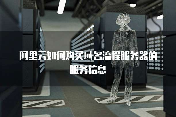 阿里云如何购买域名流程服务器的服务信息