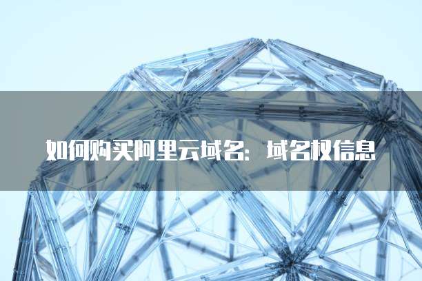 如何购买阿里云域名:域名权信息
