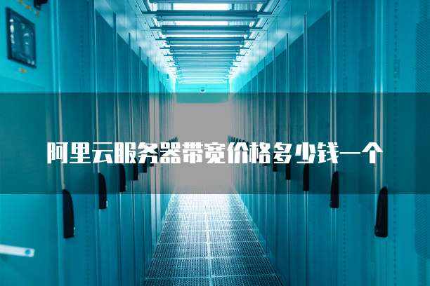 阿里云服务器带宽价格多少钱一个