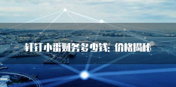 钉钉小番财务多少钱: 价格揭秘