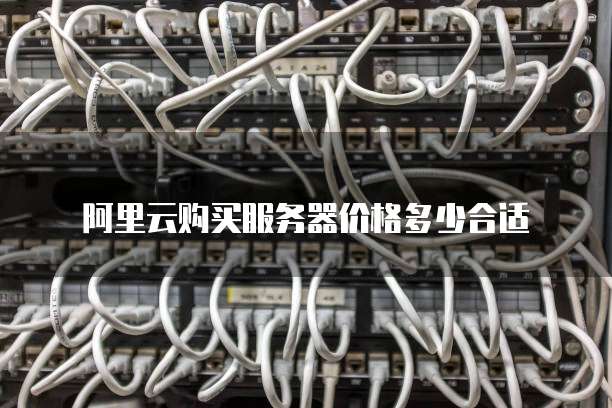 阿里云购买服务器价格多少合适