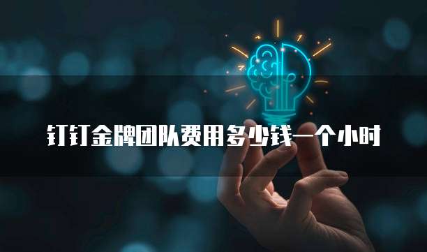 钉钉金牌团队费用多少钱一个小时