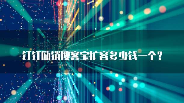 钉钉励销搜客宝扩容多少钱一个?
