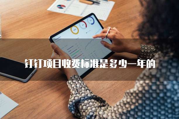 钉钉项目收费标准是多少一年的