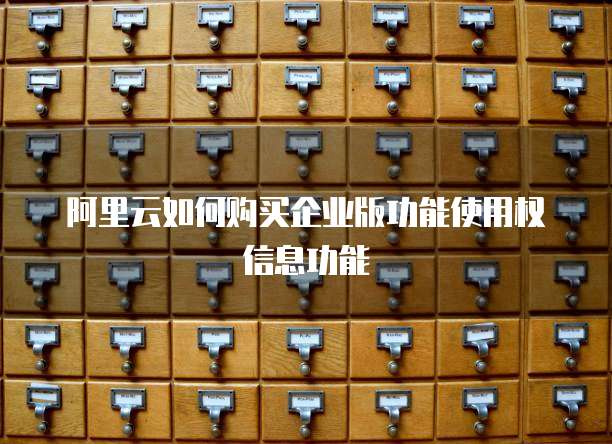 阿里云如何购买企业版功能使用权信息功能