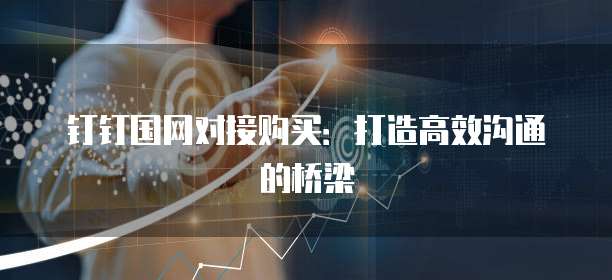 钉钉国网对接购买：打造高效沟通的桥梁
