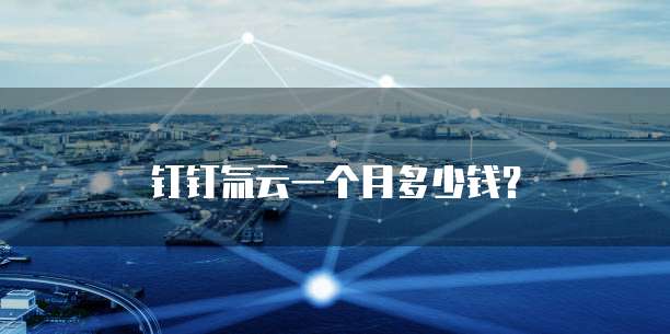 钉钉氚云一个月多少钱?