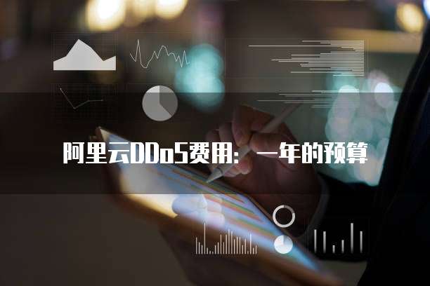 阿里云DDoS费用:一年的预算