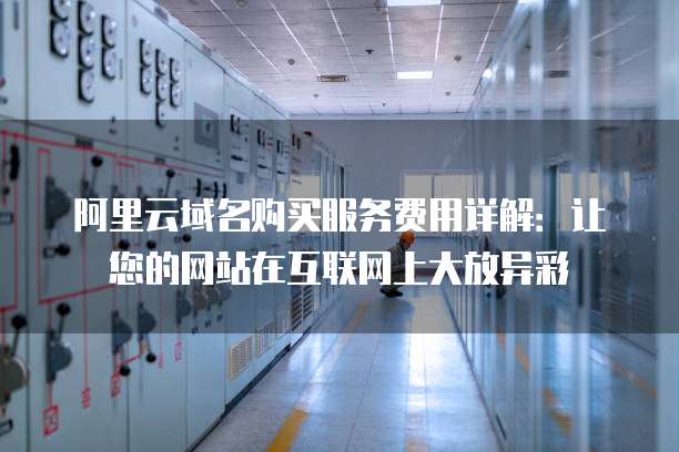 阿里云域名购买服务费用详解：让您的网站在互联网上大放异彩