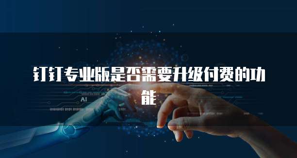 钉钉专业版是否需要升级付费的功能