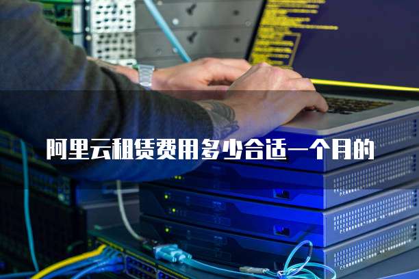 阿里云租赁费用多少合适一个月的