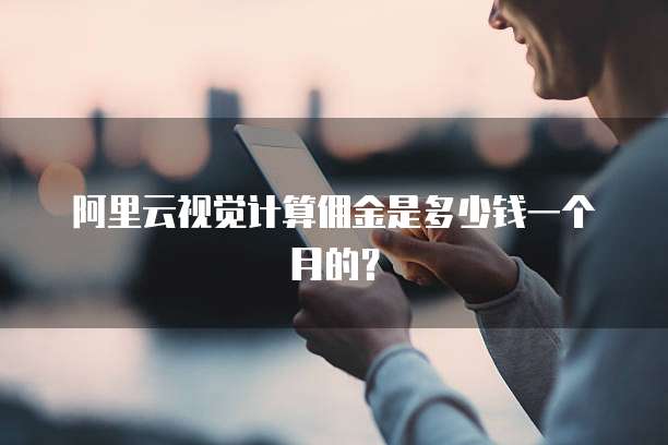 阿里云视觉计算佣金是多少钱一个月的?