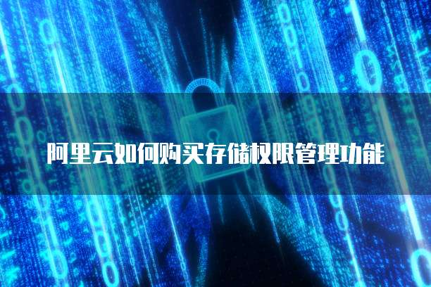 阿里云如何购买存储权限管理功能