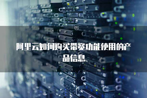阿里云如何购买带宽功能使用的产品信息