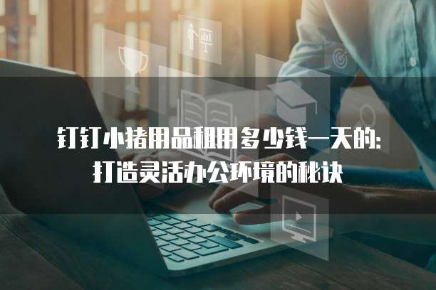 钉钉小猪用品租用多少钱一天的：打造灵活办公环境的秘诀