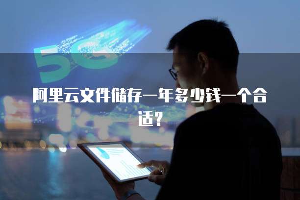阿里云文件储存一年多少钱一个合适?