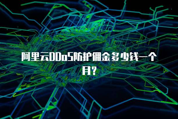 阿里云DDoS防护佣金多少钱一个月?
