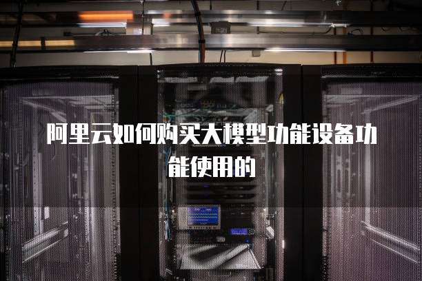 阿里云如何购买大模型功能设备功能使用的