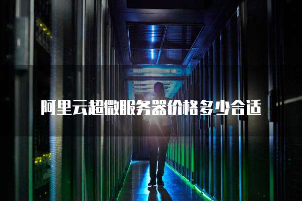 阿里云超微服务器价格多少合适