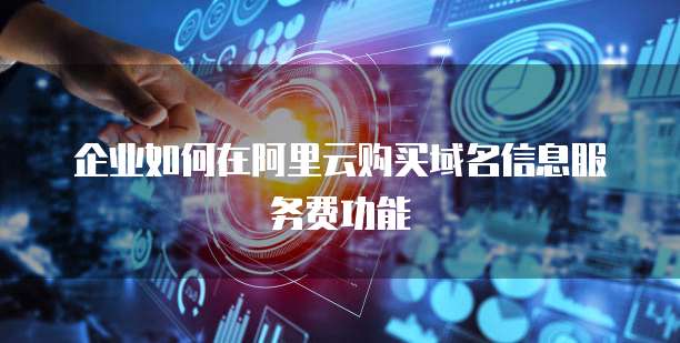 企业如何在阿里云购买域名信息服务费功能