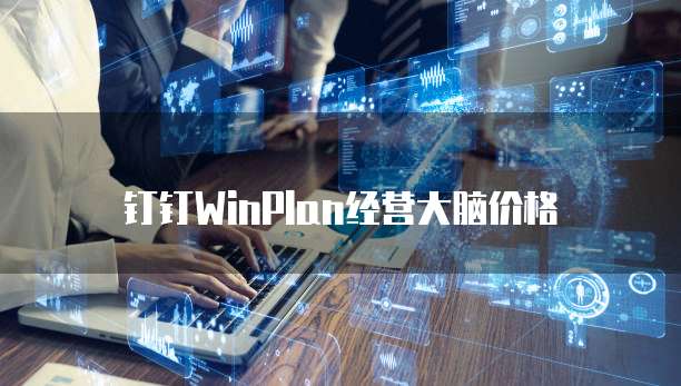 钉钉WinPlan经营大脑价格
