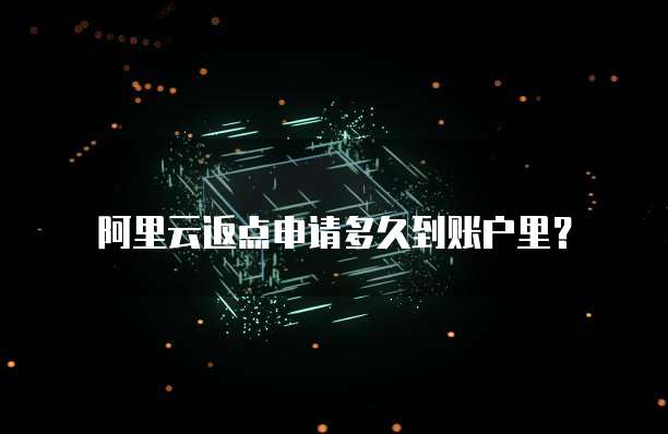 阿里云返点申请多久到账户里？