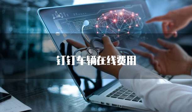 钉钉车辆在线费用