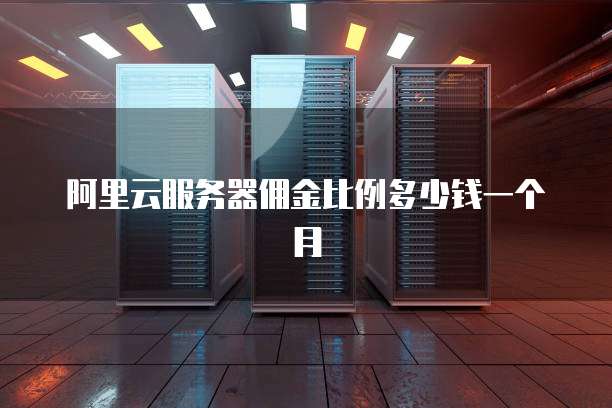 阿里云服务器佣金比例多少钱一个月
