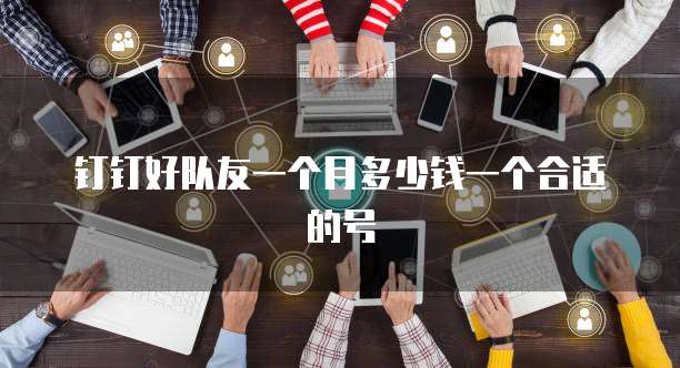 钉钉好队友一个月多少钱一个合适的号