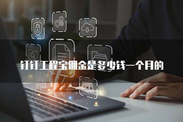 钉钉工程宝佣金是多少钱一个月的
