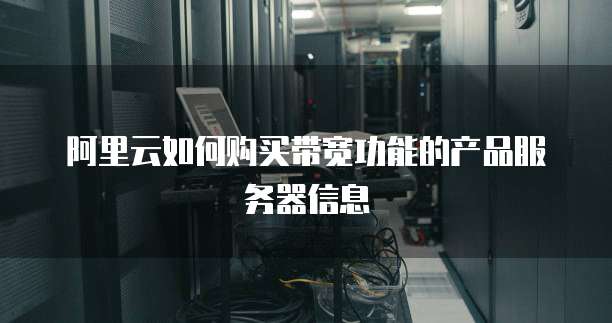 阿里云如何购买带宽功能的产品服务器信息