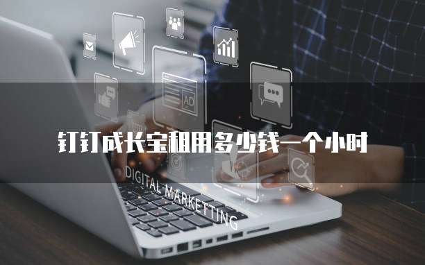 钉钉成长宝租用多少钱一个小时