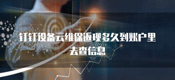 钉钉设备云维保返现多久到账户里去查信息