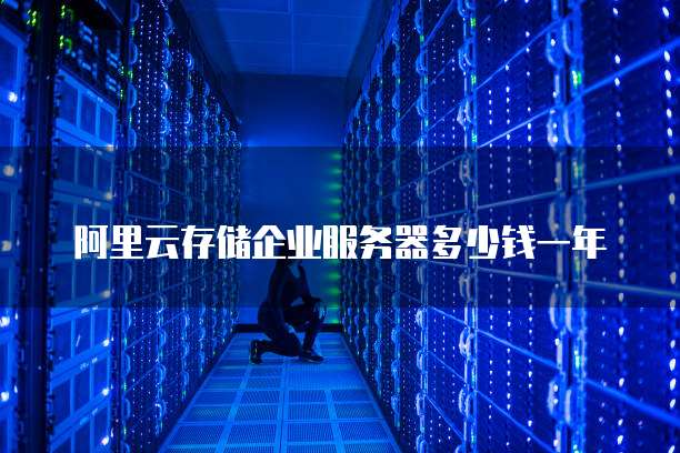 阿里云存储企业服务器多少钱一年