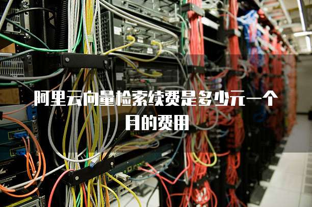 阿里云向量检索续费是多少元一个月的费用