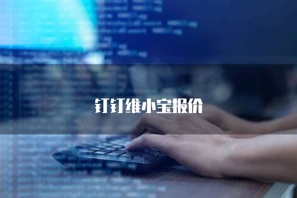 钉钉维小宝报价