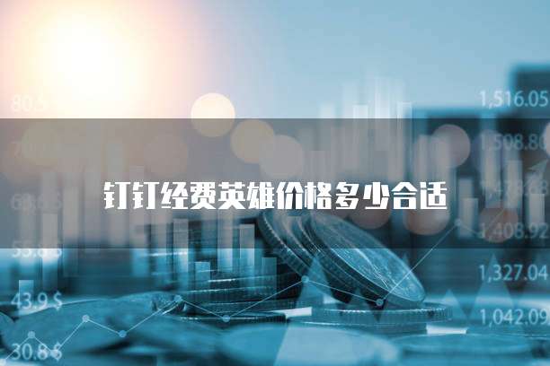 钉钉经费英雄价格多少合适