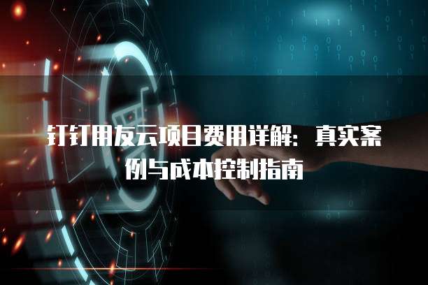 钉钉用友云项目费用详解:真实案例与成本控制指南