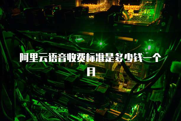 阿里云语音收费标准是多少钱一个月