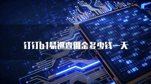 钉钉b1易巡查佣金多少钱一天